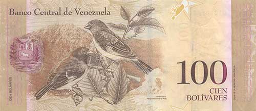 Pieza bbcv100bsf-aa03r (Reverso)