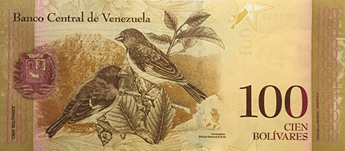 Piece bbcv100bsf-aa08-an8 (Reverse)