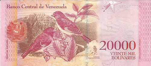 Pieza bbcv20000bsf-aa01-a8 (Reverso)