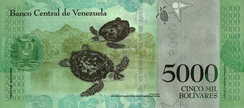 Pieza bbcv5000bsf-aa02p3 (Reverso)