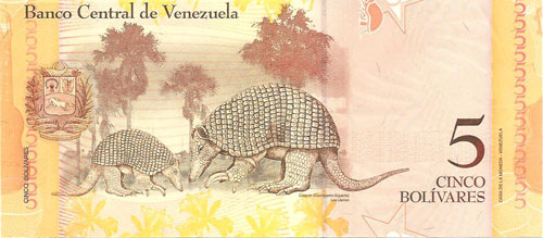 Piece bbcv5bsf-aa02-f8,e (Reverse)