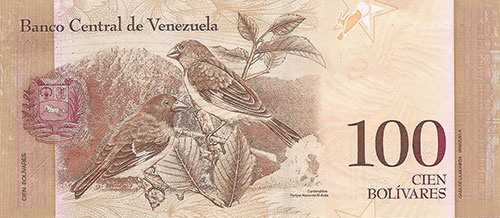 Design A, Type B. Date Diciembre 19 2008. Serie C8