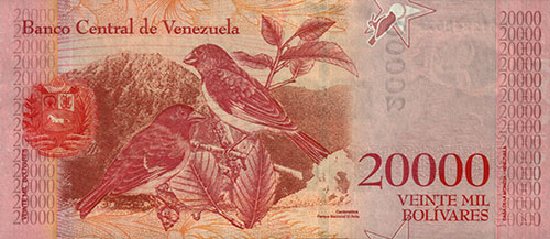 Design A, Type C. Date Diciembre 13 2017. Serie D8