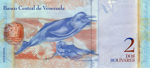 Diseño A, Tipo B. Fecha Diciembre 19 2008. Serie F8