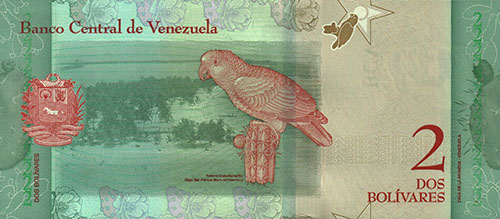 Diseño A, Tipo A. Fecha Enero 15 2018. Serie B8